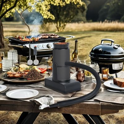 Verpakte draagbare rookpistool met verbeterde smaak Houtsplinten Infuser en vorkgereedschap