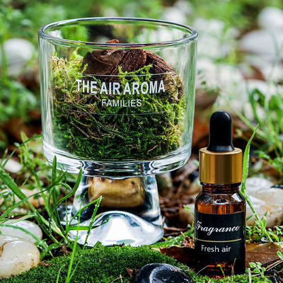 Geschenkdoos Verpakking Eind 100 ml Natuurgeïnspireerde mossolie diffuser voor frisse lucht