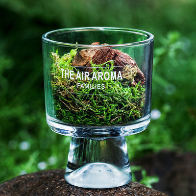 100 ml natuurgeïnspireerde mos diffuser creatieve geurende olie diffuser voor het fris houden van de lucht