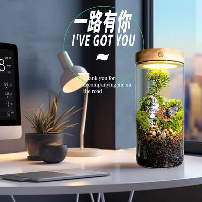 Moderne glasvezelterrariums voor hedendaags micro landschap in winkelcentra