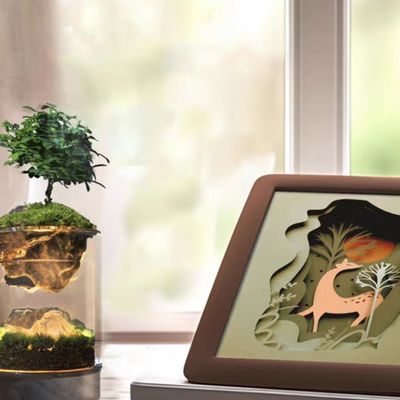 Moderne glasvezelterrariums voor hedendaags micro landschap in winkelcentra