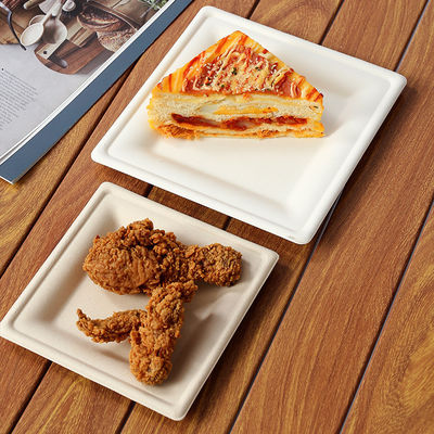 1 pakket wegwerppapierplaten voor het avondeten gemaakt van bagasse voor de terugkeer naar school