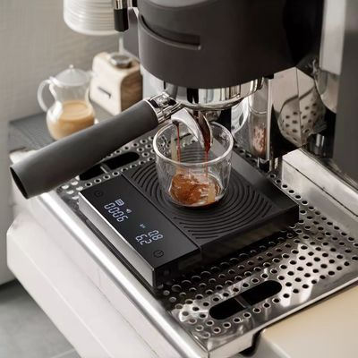 Densiteit Multifunktioneel Digitaal Koffiefruit Weegschaal met 2x1.5V AAA-batterijen