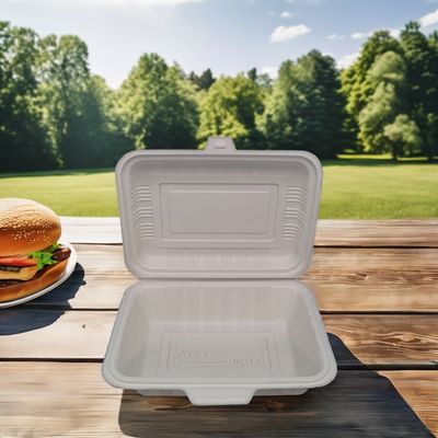 Microwaveveilige, wegwerpbare vierkante plastic lunchdozen voor voedselopslag en -vervoer