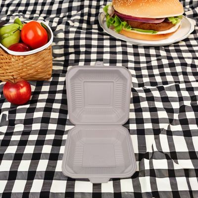 Simpliciteit Stijl Biologisch afbreekbare wegwerpvoedingscontainer Vierkant Plastic lunchboxen