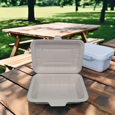 Commerciële koper keuze wegwerpbare vierkante plastic lunchdozen met magnetron veilig deksels