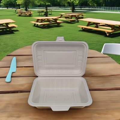 Commerciële koper keuze wegwerpbare vierkante plastic lunchdozen met magnetron veilig deksels