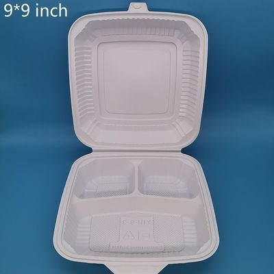 Simpliciteit Stijl Wegwerpplaat Plastic Lunchbox Microwave Safe Stapelbare Container