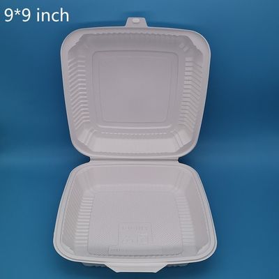 Simpliciteit Stijl Wegwerpplaat Plastic Lunchbox Microwave Safe Stapelbare Container