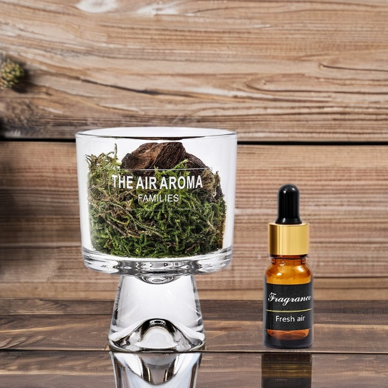 Ontwerper 100ml Moss Diffuser Gift Set Hou de lucht fris met creatieve geurolieerde olie